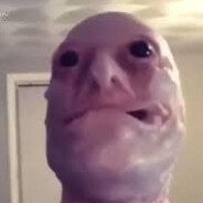 PineappleTheFruitDude