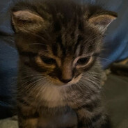 raymondxz - steam id 76561199014449802