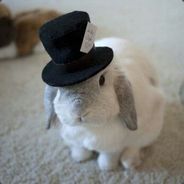 Big Avatar