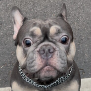 Roberts Asilgarajevs