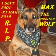 R.I.P. my Monster Wolf
