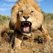Seth - steam id 76561197970975161