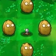 你没报过一个真实的点