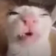 sin4y