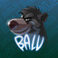 Balu1