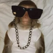 КРУТИЙ МАКАКА