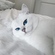 Тёмный АнгеЛ