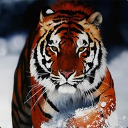 ggazso avatar