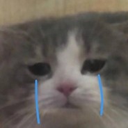 一杯椰子水coconut