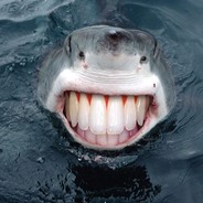 那年我双手插兜不知道什么是对手