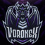 Voronex