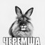 лiтвин