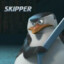 Skipper