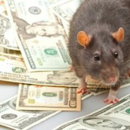 Rich Rat