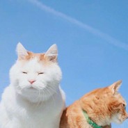 分和你总要上一个.