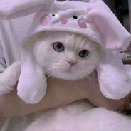 臭鱼爸爸威武霸气