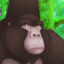 ツ//KERCHAK // ツ