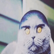 Avatar snapshot