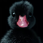 What the quack? DMntd Steam avatar