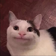 (= - ‿ - =)