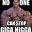 GIGGA NIGGA