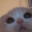 tika
