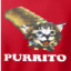 Purrito_the_Cat