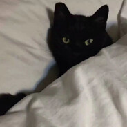 失足少女用轮椅压我牛子算足交吗