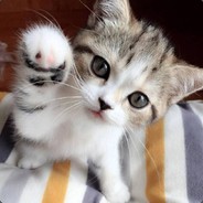 北鼻打啦巴拉舅