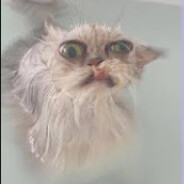 mă-ta