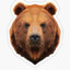 BlackBear621