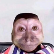greggio