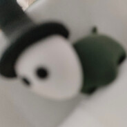 伟大的振伊先生