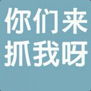 谜之队友