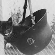 Blitzkrieg Abteilung