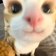 明天一定好好学习