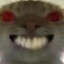 喵~o( =∩ω∩= )m呜