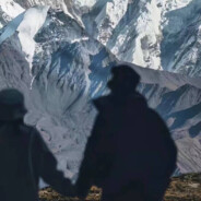 我真想买只金毛