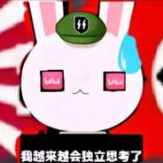 兔导思想放光芒