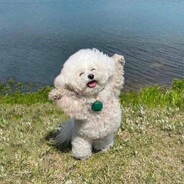 kHRYSTALh@aimbat - steam id 76561197962572706