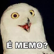 cheferaio