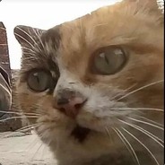 肖战舌吻东北雨姐