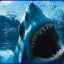 WoozyShark