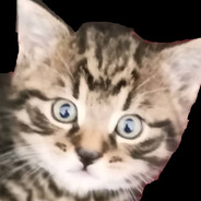 Zake's avatar