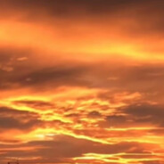 花海退潮了，2157