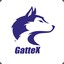 GaTTex