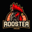 RoosTer Gaming