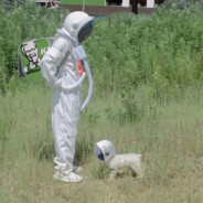 翻斗花园开银趴