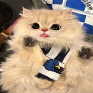 бог кузя - steam id 76561198982007977