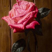 我说，诸位高见